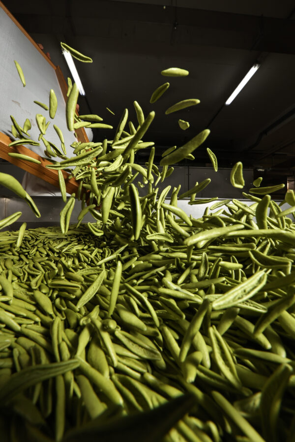 Pastificio Bruno | Home | Chi Siamo